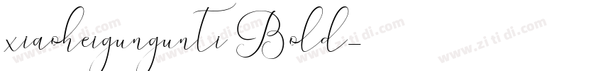 xiaoheigungunti Bold字体转换